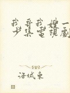 我哥我嫂一共多少集电视剧