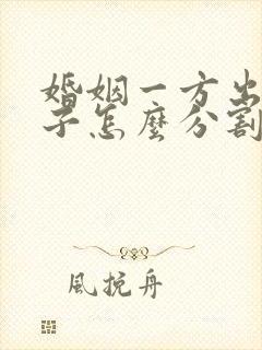 婚姻一方出轨房子怎么分割