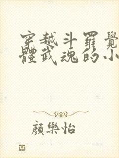 穿越斗罗觉醒本体武魂的小说