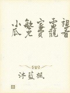 小敏家电视剧西瓜免费观看