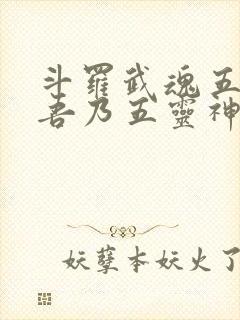 斗罗武魂五灵锁吾乃五灵神王