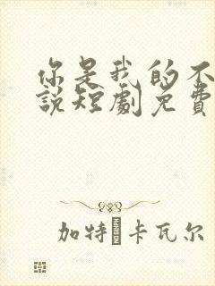 你是我的不可言说短剧免费在线观看