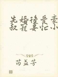 先婚后爱豪门大叔宠妻忙小说