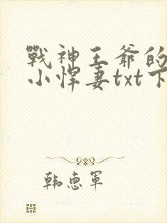 战神王爷的甜宠小悍妻txt下载