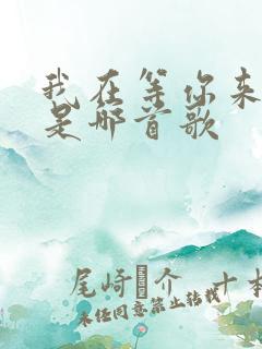 我在等你来回答是哪首歌