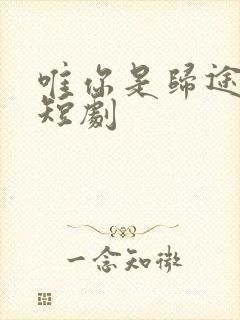 唯你是归途完整短剧