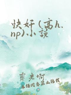 快奸 (高h.np)小说