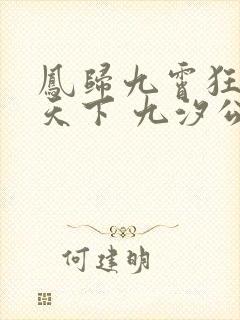 凤归九霄狂妃逆天下 九汐公子