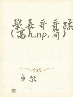 学长哥哥蹂躏你(高h,np,简)