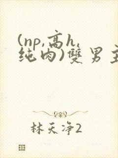 (np,高h,纯肉)双男主