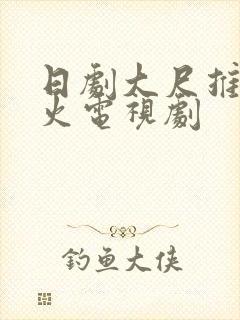 日剧大尺推荐最火电视剧