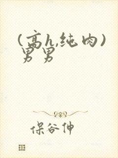 (高h,纯肉)男男