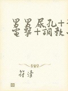 男男尿孔+灌+电击+调教小说