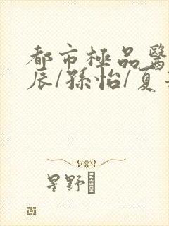 都市极品医神叶辰/孙怡/夏若雪