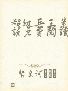 超级兵王叶谦小说免费阅读