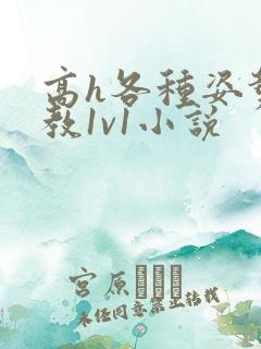 高h各种姿势调教1v1小说