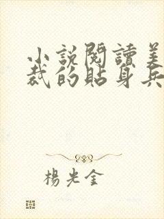 小说阅读美女总裁的贴身兵王