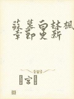 苏慕白林枫最新章节更新