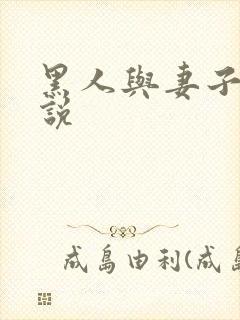 黑人与妻子的小说