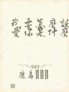 我要怎么说才能爱你是什么歌