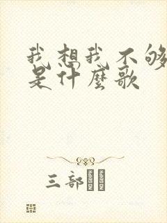 我想我不够爱你是什么歌