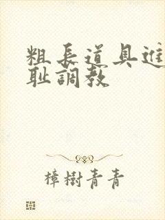 粗长道具进菊羞耻调教