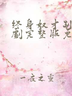 终身奴才制广播剧完整版免费听