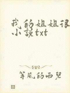 我的姐姐很弟控小说txt