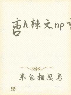高h辣文np重口