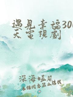 遇见幸福300天电视剧