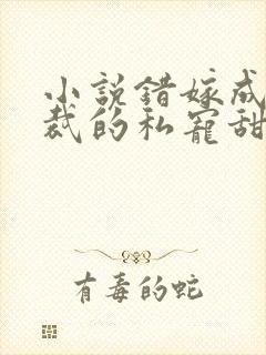 小说错嫁成婚总裁的私宠甜妻