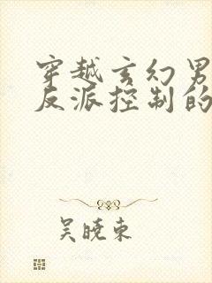 穿越玄幻男主被反派控制的小说