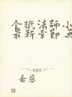 全职法师小说 最新章节 无弹窗