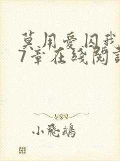 莫用爱囚我第27章在线阅读全文小说