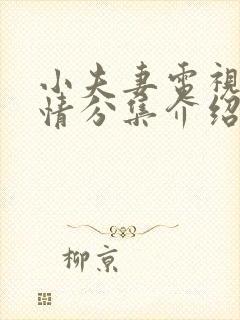 小夫妻电视剧剧情分集介绍