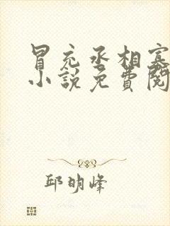 冒充丞相寡嫂的小说免费阅读