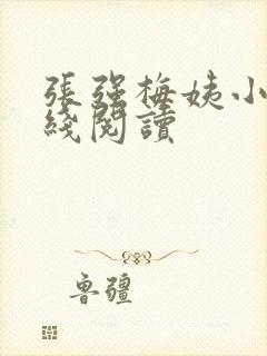 张强梅姨小说在线阅读