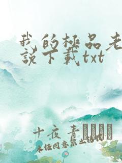 我的极品老婆小说下载txt