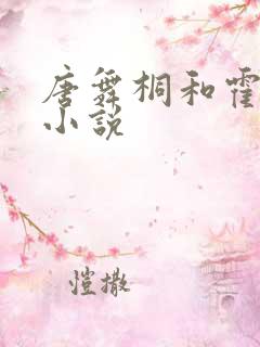 唐舞桐和霍雨浩小说