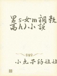 男s女m调教(高h)小说