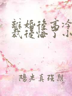 离婚后高冷女总裁后悔了小说笔趣