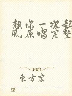 想你一次起一阵风原唱完整版歌词