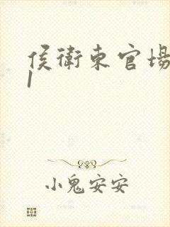 侯卫东官场笔记1