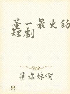 董一最火的十部短剧