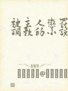 被主人惩罚玩弄调教的小说