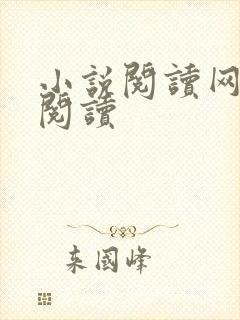 小说阅读网在线阅读