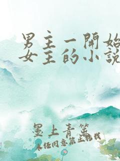 男主一开始不爱女主的小说