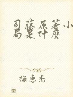 司藤原著小说结局是什么