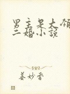 男主是大领导的二婚小说