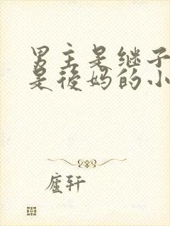 男主是继子女主是后妈的小说